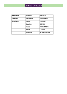Comit&eacute; Directeur