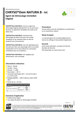 CHRYSO&reg;Dem NATURA B