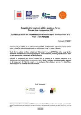 Comp&eacute;titivit&eacute; et emploi de la fili&egrave;re solaire en France: &Eacute;tat des lieux