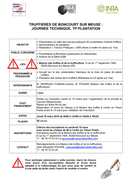 Plantation &agrave; Boncourt sur Meuse