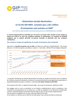 Déclaration Sociale Nominative - LE CA DU GIP-MDS