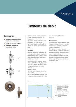 Limiteur FR 06/03.qxd