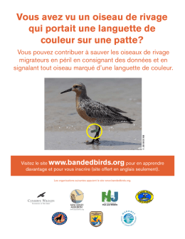 Vous avez vu un oiseau de rivage qui portait une