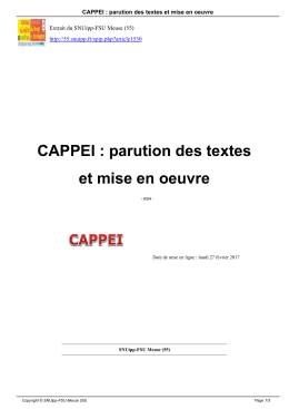 CAPPEI : parution des textes et mise en oeuvre