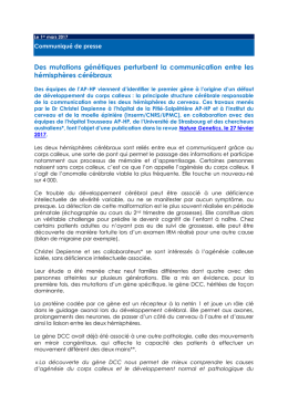 Télécharger le cummuniqué de presse complet