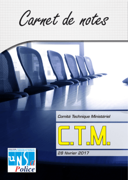 Comit&eacute; Technique Minist&eacute;riel 28 f&eacute;vrier 2017 - Unsa