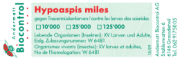 Hypoaspis miles