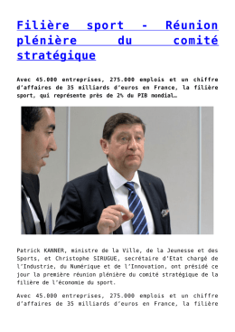 Fili&egrave;re sport - R&eacute;union pl&eacute;ni&egrave;re du comit&eacute; strat&eacute;gique