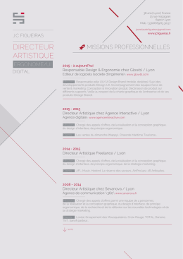 Version PDF du CV