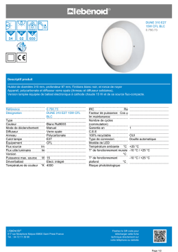 Fiche produit DUNE 310 E27 15W CFL BLC