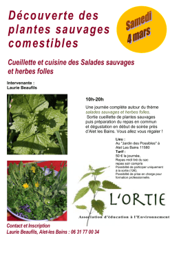 D&eacute;couverte des plantes sauvages comestibles