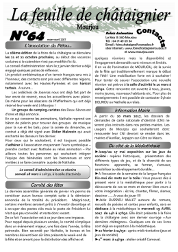 Feuille de ch&acirc;taignier n&deg;64