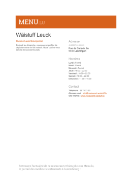 version PDF