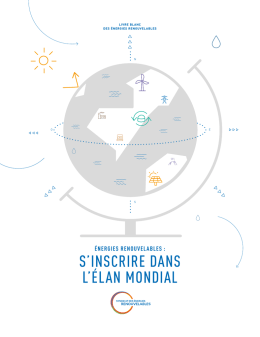 100 pages de son livre blanc