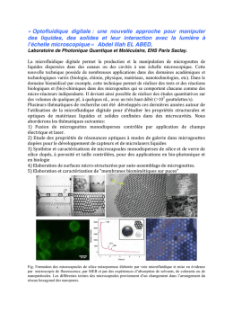 Résumé microfluidique digitale Tanger fevrier 2017