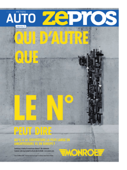Vite - Zepros.fr