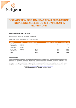 Achat d`actions netgem 20-02-17