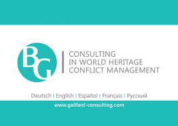 BG Consulting Presentation Brochure