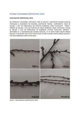 Zelena prognoza 08032017