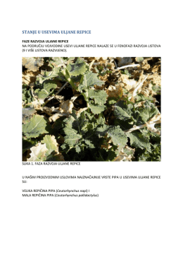 Zelena prognoza 07032017