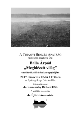 Balla &Aacute;rp&aacute;d &bdquo;Megid&eacute;zett vil&aacute;g&rdquo;