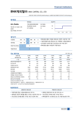 BNK캐피탈 - NICE신용평가