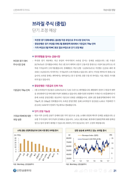 브라질 주식 (중립)