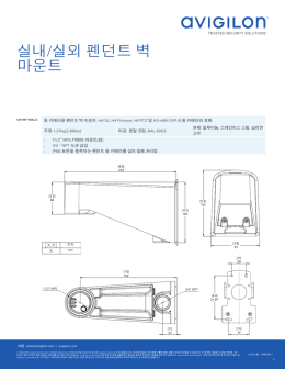 실내/실외 펜던트 벽 마운트