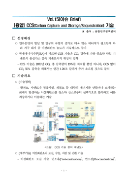 이슈 Brief Vol.15