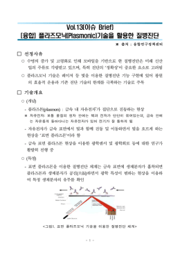 이슈 Brief Vol.13