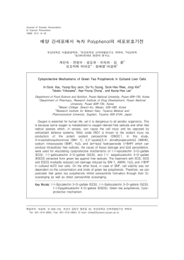 배양 간세포에서 녹차 의 세포보호기전 Polyphenol