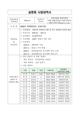 실명제 사업내역서
