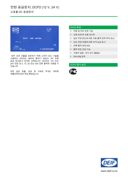 전원 공급장치, DCP2 (12 V, 24 V)