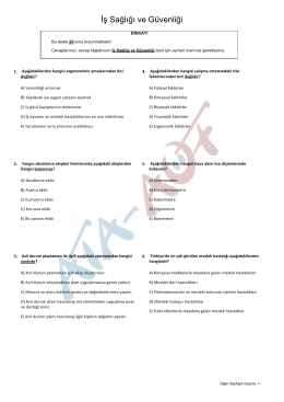 İş Sağlığı ve G&uuml;venliği
