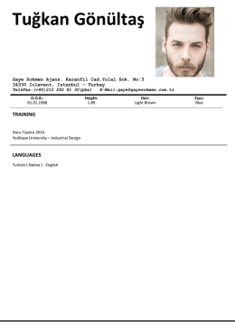 cv - Gaye Sokmen