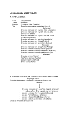 LAHANALAR - Ankara Üniversitesi Açık Ders Malzemeleri