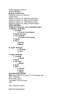 TURP-8. hafta File