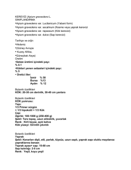 KEREVİZ-4. hafta Kaynak - Ankara Üniversitesi Açık Ders Malzemeleri