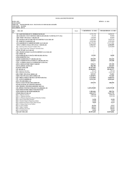 Konsolide Mali Tablo (31 Aralık 2016)