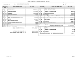 Bütçe Uygulama Sonuçları Tablosu