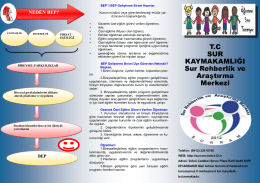 T.C SUR KAYMAKAMLIĞI Sur Rehberlik ve Araştırma Merkezi