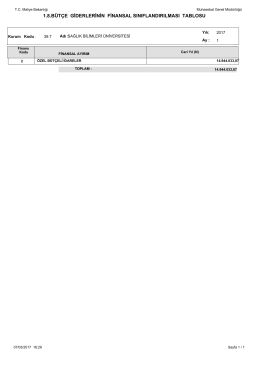 1.8.bütçe giderlerinin finansal sınıflandırılması tablosu