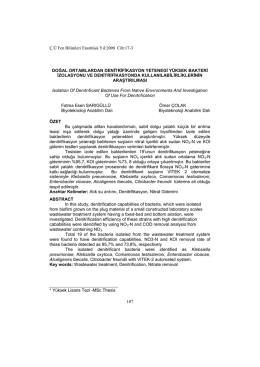 doğal ortamlardan denitrifikasyon yetenegi yüksek bakteri