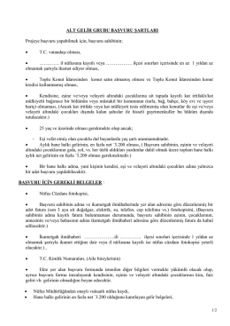 alt gelir grubu başvuru şartları