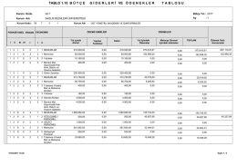 Bütçe Giderleri ve Ödenekler Tablosu