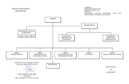 bagan organisasi kecamatan camat