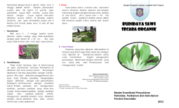 Budidaya Budidaya Sawi Secara Organik