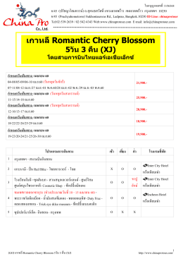 (GO) ICN-XJ009 เกาหลี Romantic Cherry Blossom 5วัน 3 คืน
