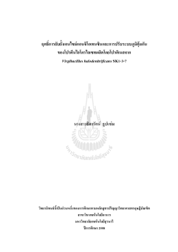 View/Open - มหาวิทยาลัยเทคโนโลยีสุรนารี