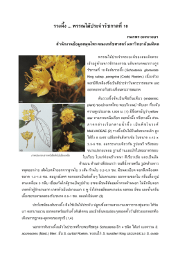 ดาวน์โหลดบทความ  - คณะเภสัชศาสตร์ มหาวิทยาลัยมหิดล